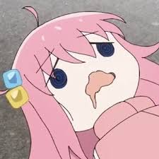 布偶